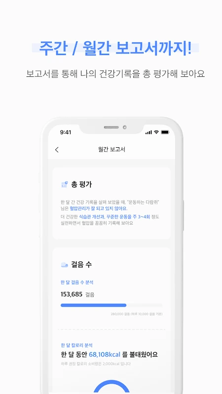 ody 월간 리포트