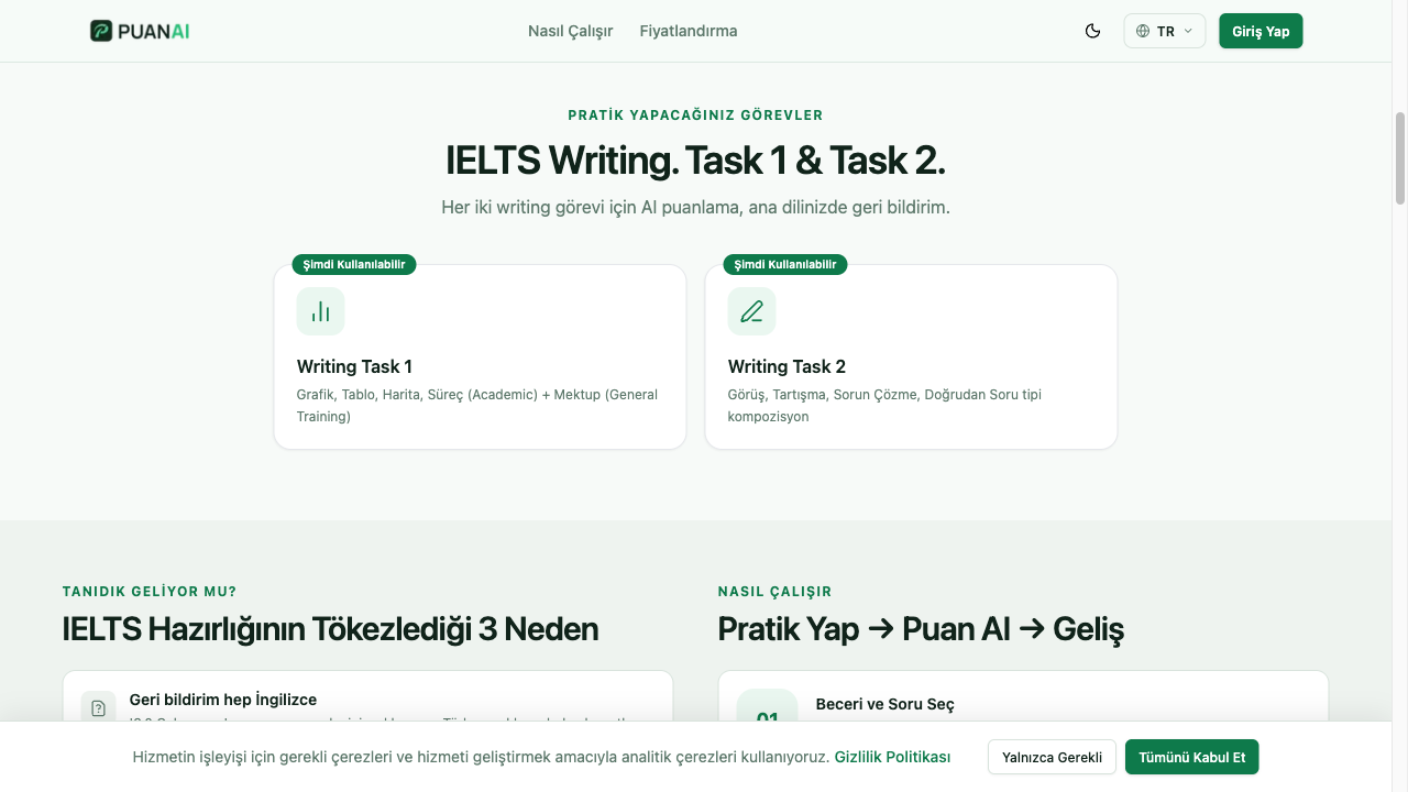 PuanAI web screenshot 2