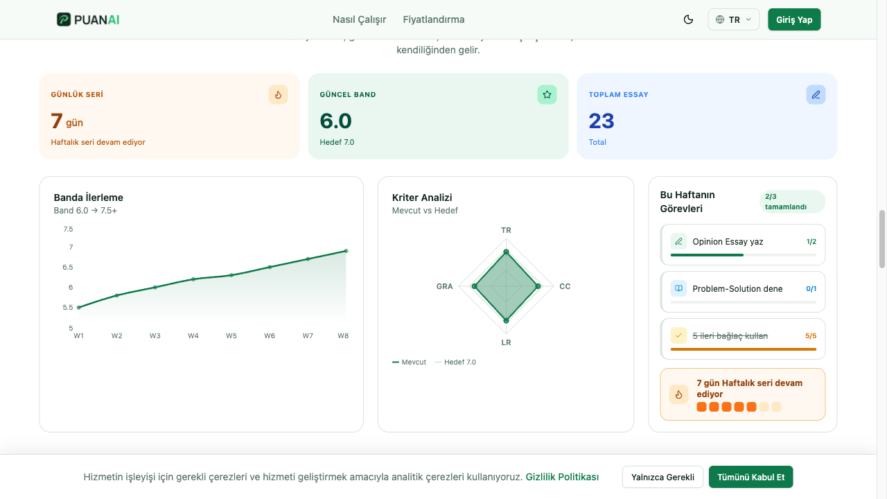 PuanAI web screenshot 3